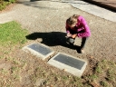 christchurch (17)